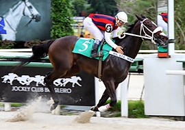 Believable Winner mantém invencibilidade na areia ganhando a P.E. Be Fair