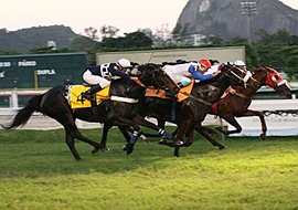 Provas Especiais são as atrações da semana no Jockey Club Brasileiro
