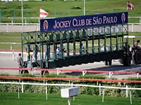 Nove páreos em Cidade Jardim no simulcasting desta segunda-feira