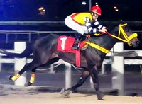 Gateaux e Gusto Dulce, do Haras Phillipson correrão a Copa de Plata – R. Vasquez Mansilla (G1)