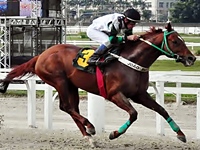 Listed e Prova Especial para arenáticos no simulcasting com São Paulo