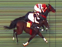 Vallin conquista o bicampeonato do GP Natal (G3)