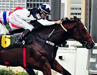 Grupo 3 e Listed agitam o simulcasting com Cidade Jardim