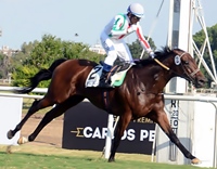 Infiltrada vence e Maltês finaliza em 3º na milha do GP Joaquin S. de Anchorena (G1)