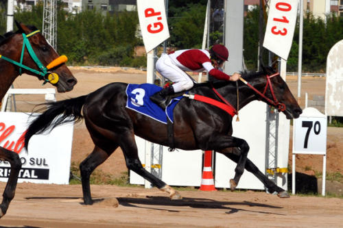 Tokay defende sua invencibilidade no Hipódromo do Cristal na melhor prova do dia
