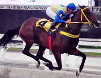 Anything Sweet atropelou forte levar a 1ª Listed de sua campanha