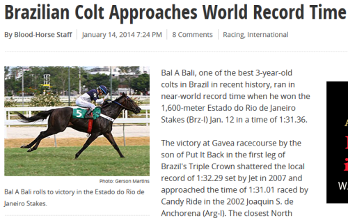 Bal a Bali em destaque na revista americana Blood-Horse