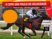 Sábado é dia da II Copa São Paulo de Velocidade