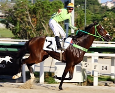 Hiper Negro e Fernando, domínio total do Stud Daltex na P.E. Eulógio Morgado