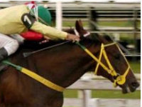Super Betting com R$ 23 mil de bonificação é atração no simulcasting com São Paulo