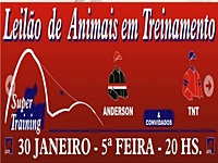 Lotes extras no Leilão Super Trainning de 30 de janeiro no Tattersall da Gávea