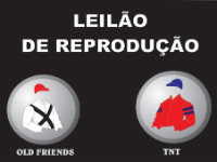 Pro Turfe: Hoje, às 19h, ótimas oportunidades!