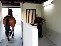 Balança do Bombril já está em pleno funcionamento