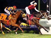 Brilhantíssima venceu o GP Diana (G1) e pode dar inédita Tríplice Coroa de fêmeas para o Araras