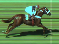 Desejado Magee manteve hegemonia do Stud Alvarenga na Copa SP de Velocidade
