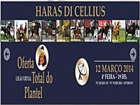 Filhos de Roderic O’Connor são destaques no Leilão do Haras Di Cellius