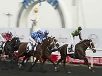 África do Sul domina a Godolphin Mile (G2). Resultado das outras provas de G2 em Dubai.