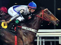 Fundistas em ação na melhor carreira do simulcasting