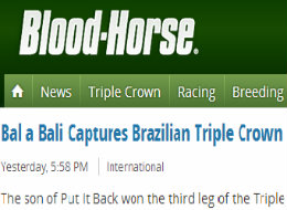 Tríplice Coroado, Bal a Bali é matéria na revista amaricana Blood-Horse