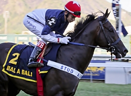 Besilu Stables LLC torna-se sócio do Stud Alvarenga no craque Bal A Bali