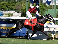 Em recorde, Bottega deu show no GP Jockey Club de São Paulo (G3)