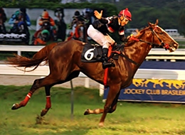 Fácil vitória de Clara Baby no GP Luiz Fernando Cirne Lima (G3)