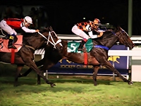 Tinindo, Emerald Fire foi a melhor na Prova Especial Joiosa