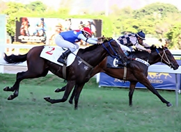 No GP Mario de Azevedo de Ribeiro (G3), Gastroquet largou e acabou