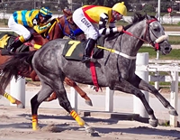 Simulcasting com Cidade Jardim terá Grupo 2 e Listed
