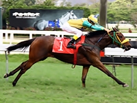 Confira os comentários de Fernando Lopes para as corridas de hoje, na Gávea