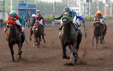 GP Latinoamericano e sua história – Lideris – 2014 – Hipodromo de Monterrico – Peru