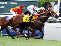 ADDED – 1ª Parcela – GP Presidente Vargas (G3)