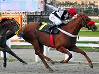 Assim como em 2013, na areia Regards conquista o Clássico Erasmo T. de Assumpção (L.)