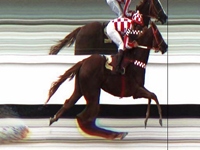 De ponta a ponta, vitória da líder e invicta Wild At Heart no GP Emerald Hill (G3)