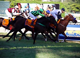 That Sunday brilha no GP Zélia Gonzaga Peixoto de Castro (G1)