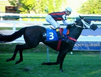 Invicta, Change Of Plains mostrou categoria no GP João Adhemar e Nelson de Almeida Prado (G3)