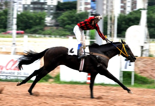 GP Presidente Coronel Caminha marca a 2ª Prova da Tríplice Coroa, no Hipódromo do Cristal