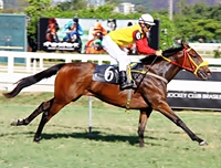 Confira os comentários de Fernando Lopes para as corridas de hoje, na Gávea