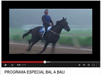 TV Turfe – Programa Turfe Espetacular