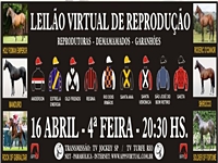 Mãe do líder invicto na Gávea, Energia Guest é destaque no Leilão Virtual de Reprodução