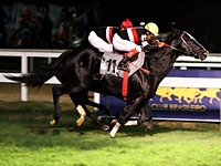 Avveduto e Asciutto, domínio do Haras Anderson no GP Gervásio Seabra (G2)