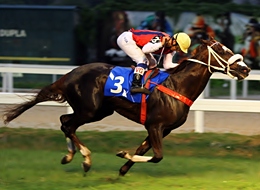Billy Girl atropelou forte para vencer o GP Henrique de Toledo Lara (G3)
