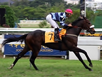 Confira os comentários de Fernando Lopes para as corridas de hoje, na Gávea