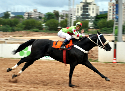 Uma boa programação, repleta de páreos cheios, hoje no Hipódromo do Cristal