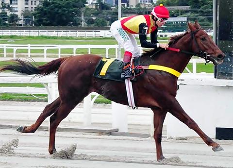 Um sábado com ótima programação no Hipódromo de Cidade Jardim
