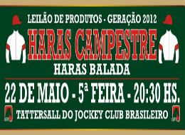 APPS: Amanhã, Haras Campestre abre a temporada de Leilões de Potros na Gávea