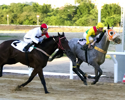 Hoje, no Cristal, GP Derby Riograndense (L.) marca a 3ª Prova da Tríplice Coroa