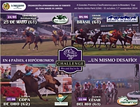 Breeders’ Cup Challenge Win And You’re In – 4 países, 4 hipódromos…um mesmo desafio!