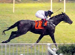 Arroz Branco está fora do GP Brasil (G1)