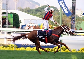 Atropelada irresistível de Blind Ambition para conquistar o GP Major Suckow (G1)
